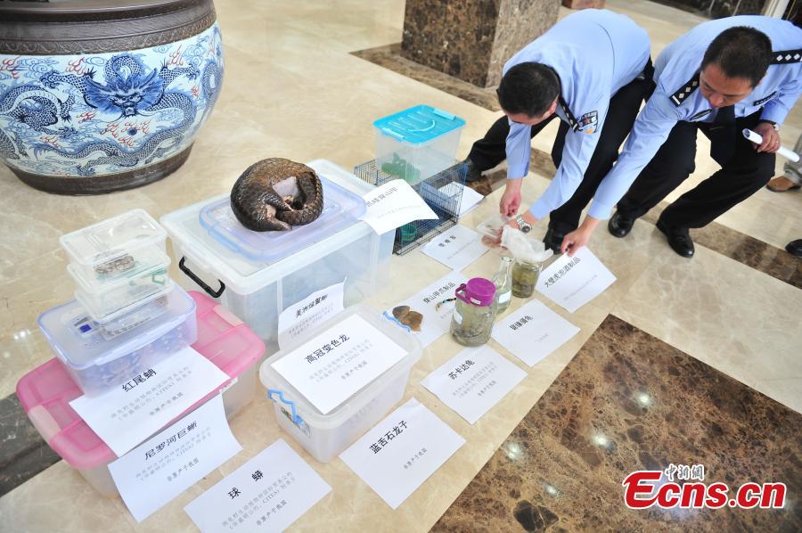 20 suspects caught in raids against wildlife smuggling online (1/9)