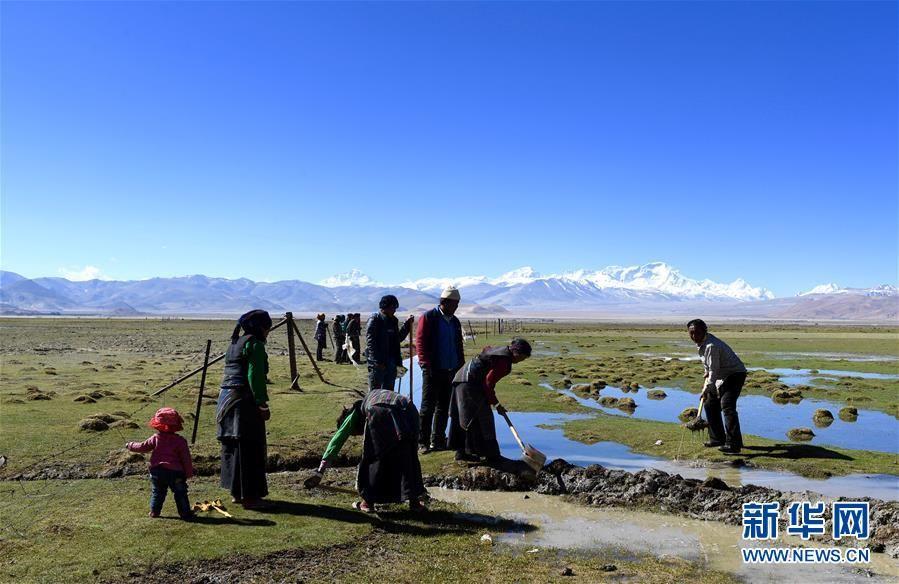 Photo shows villagers from Sharduy village of Tingri County in Tibet Autonomous Region\'s Shigatse city watering the nearby wetland by flood-prevention facilities on May 17. (Photo/Xinhua)

At the foot of Mt. Qomolangma, there is a group of people called \