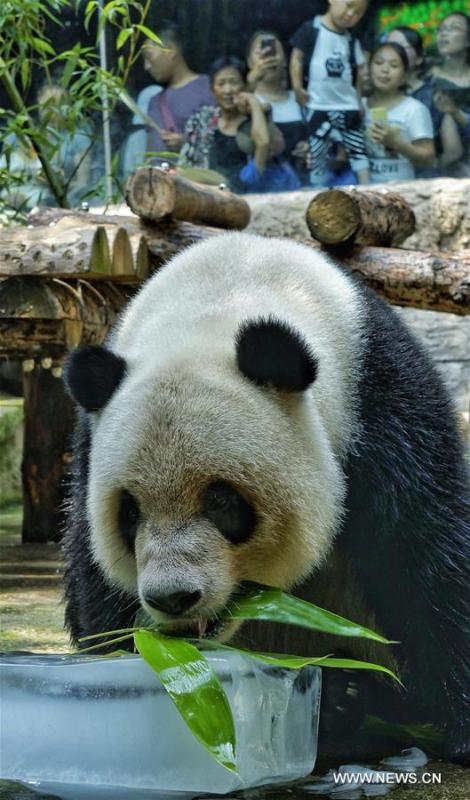 Special treat to cool off animals at Beijing Zoo(2/8) - Headlines,  features, photo and videos from china|news|chinanews|ecns|cns