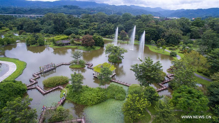 Xishuangbanna Tropical Botanic Garden 2 5 Xishuangbanna Tropical Botanic Garden 2 5