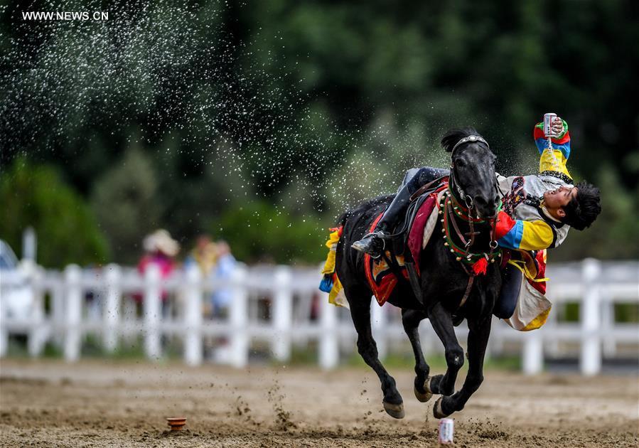 Horse riders perform during Shoton Festival in Lhasa(1/7)