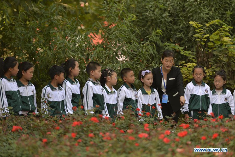 Science teacher Song Lihong (3rd R)introduces plants to first-year students at Liucun Primary School in Liucun Village of Xingtai City, north China\'s Hebei Province, Aug. 31, 2017. Since the beginning of this semester, primary schools across China have started to offer the science course to the first-year students. (Xinhua/Chen Lei)