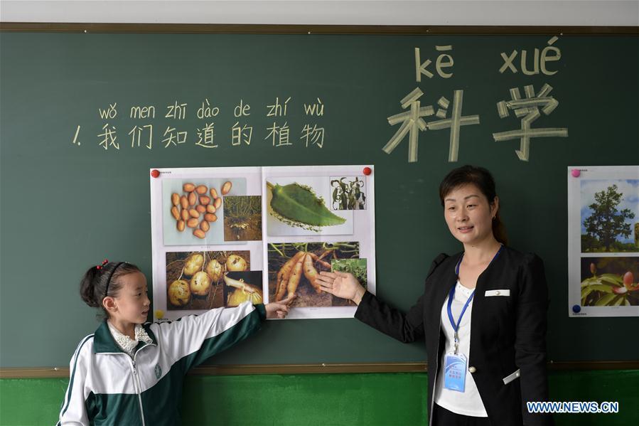 
Science teacher Song Lihong (L) introduces plants to first-year students at Liucun Primary School in Liucun Village of Xingtai City, north China\'s Hebei Province, Aug. 31, 2017. Since the beginning of this semester, primary schools across China have started to offer the science course to the first-year students. (Xinhua/Chen Lei)