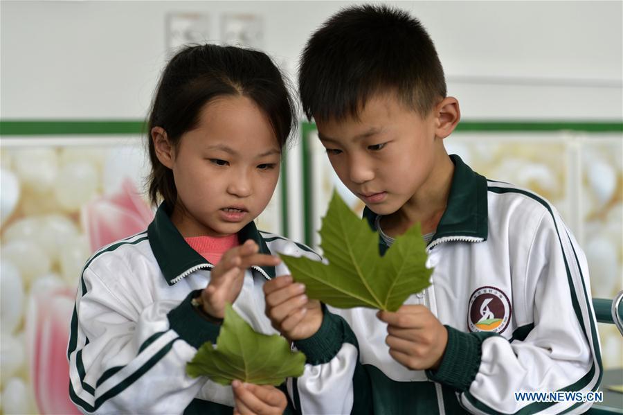 The first-year students view leaves at their the science class at Liucun Primary School in Liucun Village of Xingtai City, north China\'s Hebei Province, Aug. 31, 2017. Since the beginning of this semester, primary schools across China have started to offer the science course to the first-year students. (Xinhua/Chen Lei)