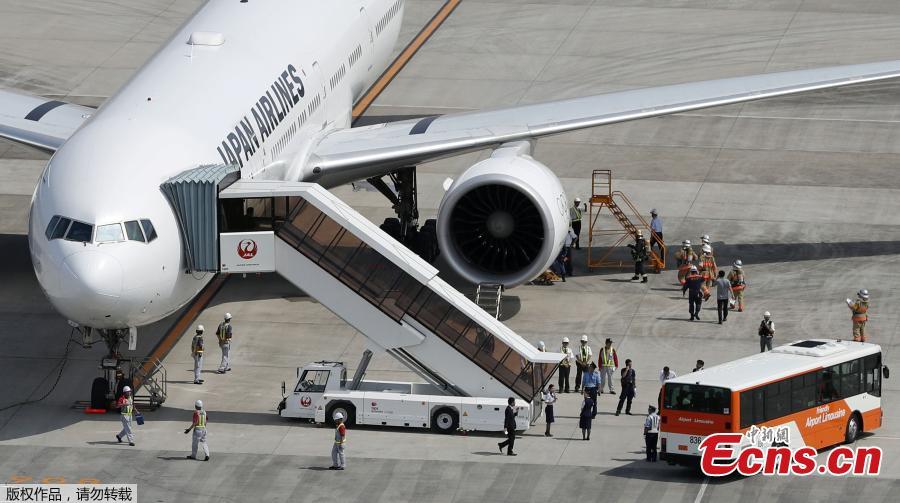 Japan Airlines flight in emergency landing after bird strike(1/1)