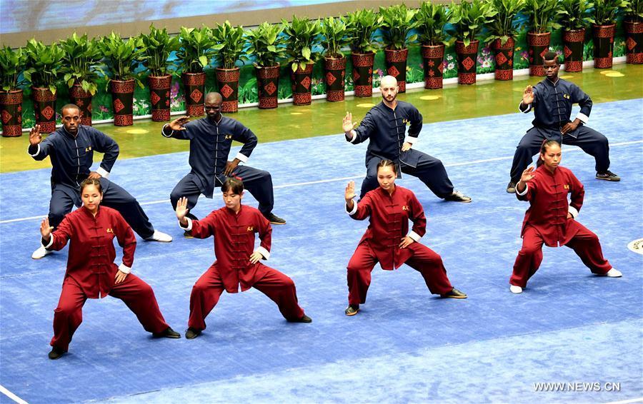 Central China tai chi training centers attract hundreds of followers(1/7)