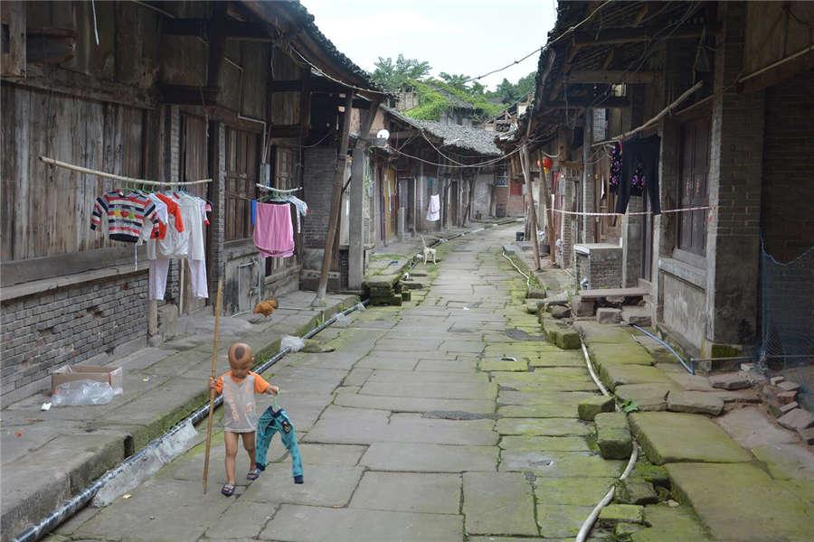 A photo taken in Chongqing, Southwest China. (Photo provided to chinadaily.com.cn)