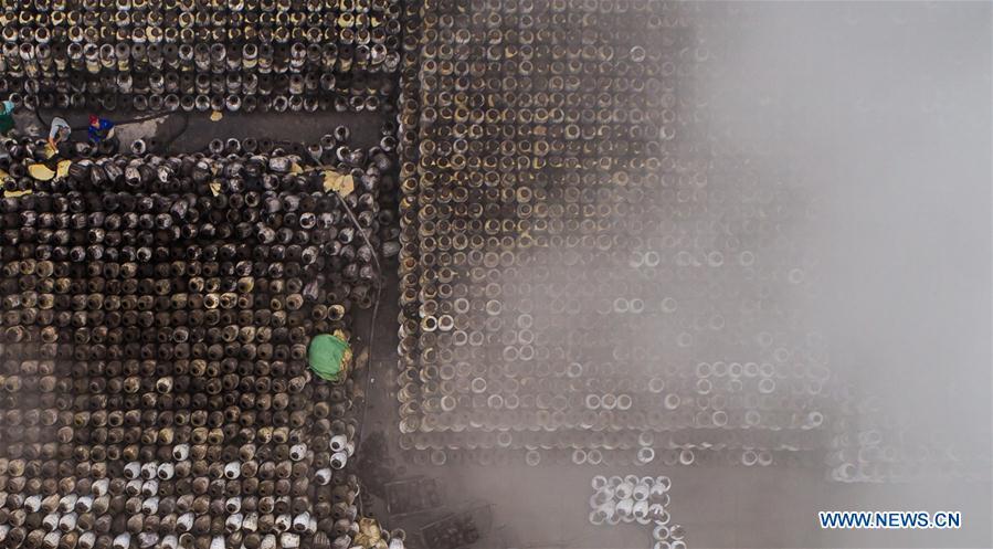 Brewing of rice wine begins in Shaoxing, Zhejiang(1/10)