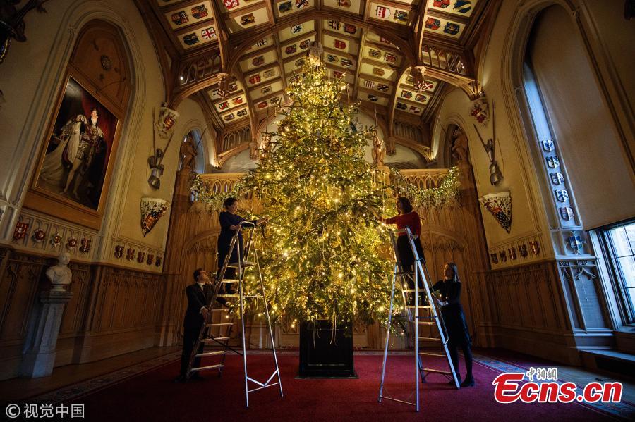 Dazzling Christmas tree erected at Windsor Castle(1/3)