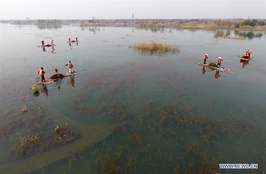 Sanitation staff work at the Gonghuwan wetland park in Wuxi, a city of Taihu Lake basin in east China\'s Jiangsu Province, Dec. 7, 2017. China has made strides in rolling out a \