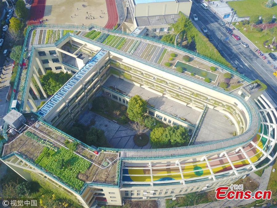 A farm on the roof of a building at the Pujia Elementary School in Hangzhou City, East China’s Zhejiang Province, Jan. 22, 2018. Teachers, students, parents and agricultural experts have collaborated to build the ecological farm, which measures approximately 1,300 square meters. The farm includes zones for growing fruit, crops and other plants, as well as a rice paddy field to raise fish. It also boasts methane tanks and an automatic irrigation system, helping it achieve its zero-waste-emission goal. (Photo/VCG)