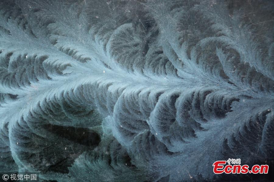 Exquisite Ice flowers on window glass(1/4)