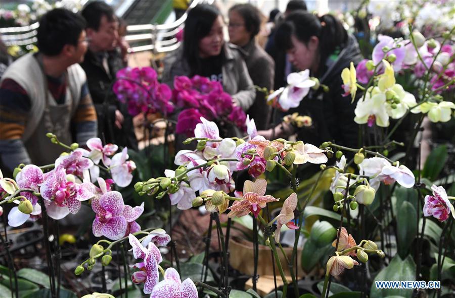 People buy flowers at a market in Kunming, southwest China\'s Yunnan Province, Feb. 10, 2018. There are over 2,000 flower planting, processing, logistics and trading enterprises in Yunnan, with annual output value of 40 billion yuan (about 6.35 billion U.S. dollars). They have won over 70 percent market share in some 70 big and medium-sized cities in China and exported flower products to more than 40 countries and regions. (Xinhua/Lin Yiguang)