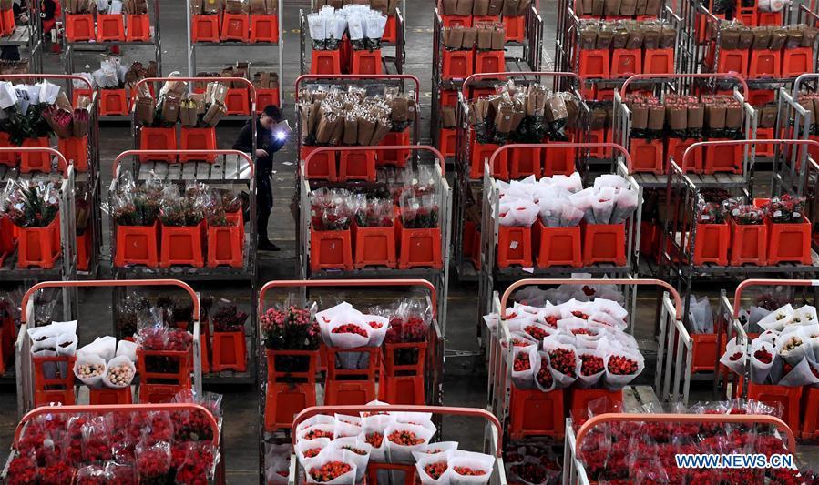 A trader checks flower quality at Kunming International Flora Auction Trading Center in southwest China\'s Yunnan Province, Feb. 10, 2018. There are over 2,000 flower planting, processing, logistics and trading enterprises in Yunnan, with annual output value of 40 billion yuan (about 6.35 billion U.S. dollars). They have won over 70 percent market share in some 70 big and medium-sized cities in China and exported flower products to more than 40 countries and regions. (Xinhua/Lin Yiguang)