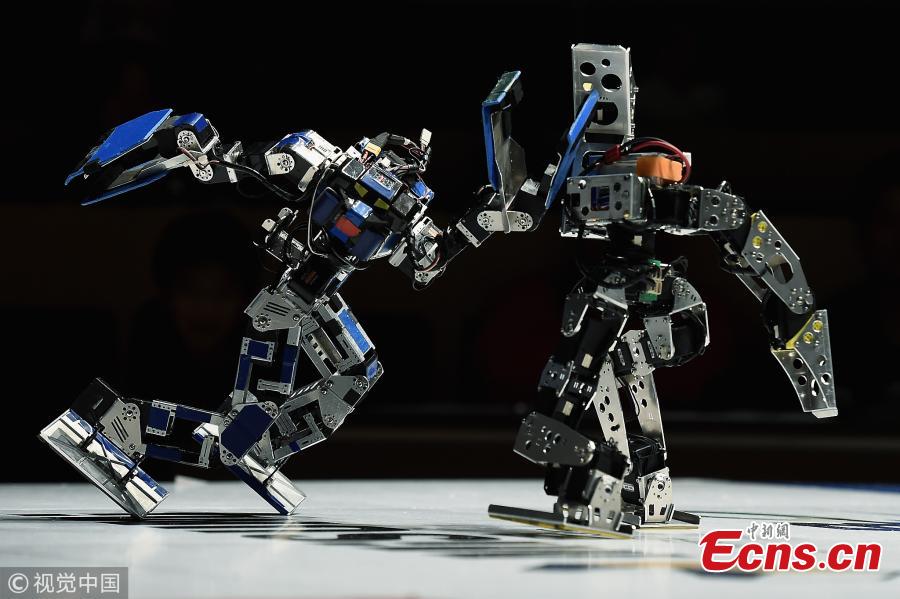 Robots fight during the 32nd ROBO-ONE tournament in Tokyo, Japan, Feb. 25, 2018. According to the organizer, the ROBO-ONE, held by the Biped Robotics Association, is a robot fighting competition for bipedal walking robots, aiming to improve the robotic technology and spread the popularity of bipedal walking robots. (Photo/Agencies)