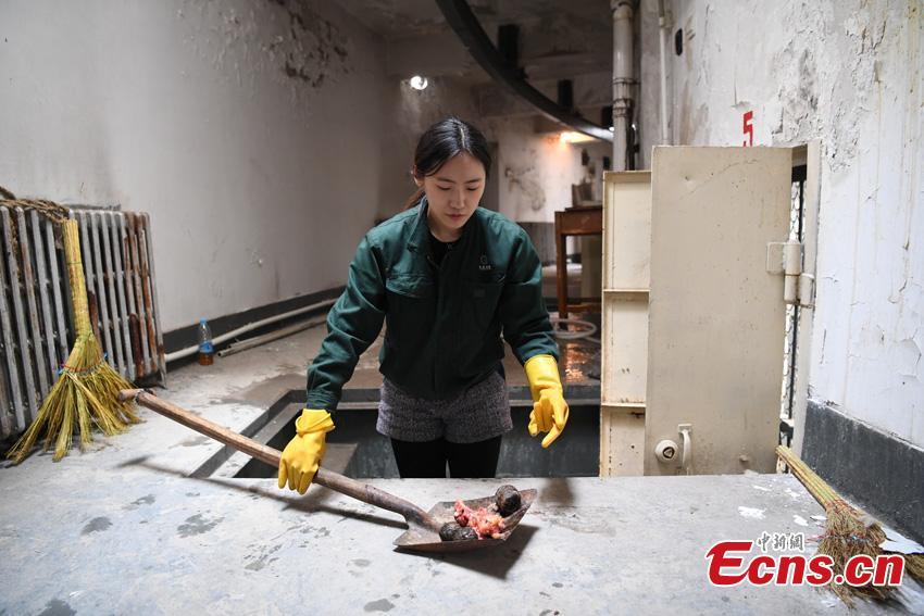 Li Yimeng works at the Changchun Zoo and Botanical Garden in Changchun City, the capital of Northeast China\'s Jilin Province. The 27-year-old postgraduate student in veterinary science at Jilin University is responsible for looking after seven tigers and one lion, task that including preparing food and cleaning their dens. (Photo: China News Service/Zhang Yao)