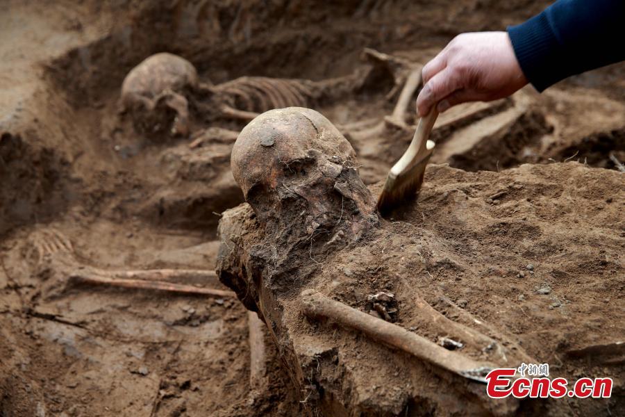 Evidence of human sacrifice found in Jinan ruin(1/3)