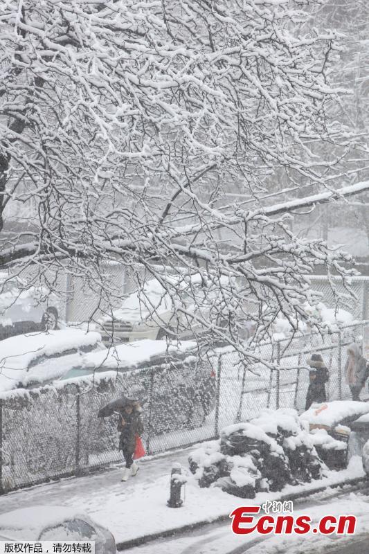 Heavy snow falls in the Flushing neighborhood in New York City, U.S., April 2, 2018. New York City has now received 40.9 inches of snow during the 2017-2018 cold season, almost 15 inches more than normal. (Photo: China News Service/Liao Pan)