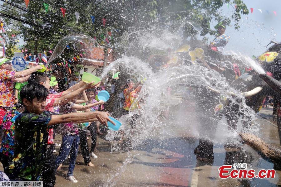 Elephants and people play with water during the celebration of Songkran Water Festival, to commemorate Thailand\'s New Year in Ayutthaya, Thailand, April 11, 2018. (Photo/Agencies)