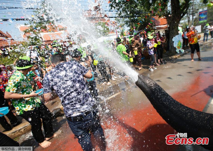 An elephant sprays water to people during the celebration of Songkran Water Festival, to commemorate Thailand\'s New Year in Ayutthaya, Thailand, April 11, 2018. (Photo/Agencies)