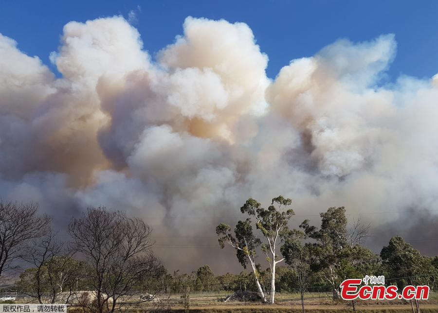 A severe bushfire has burnt all weekend in Sydney\'s south-west and although conditions eased last night, firefighters are still concerned conditions may deteriorate, according to Australian media report. (Photo/Agencies)