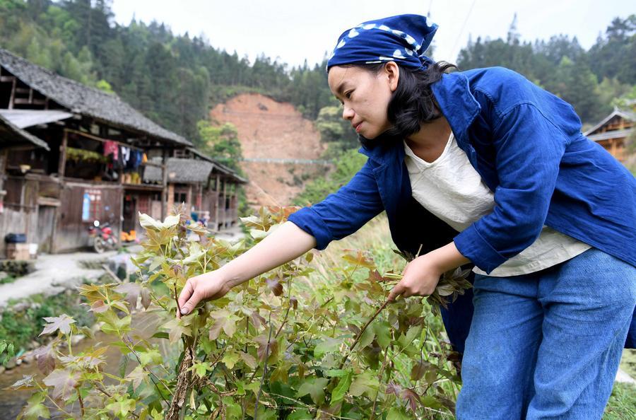 Couple finds success selling ethnic handmade cloth(1/7)