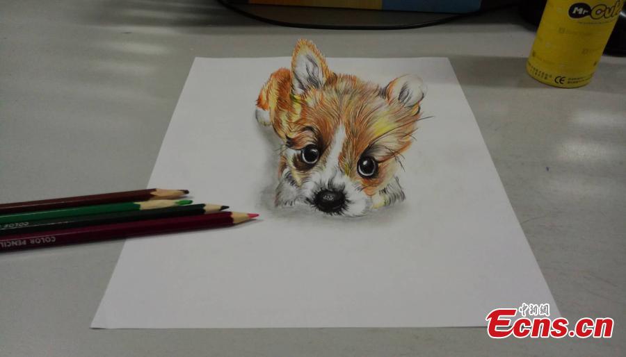 Science student draws 3D drawings to please girlfriend (9/9)