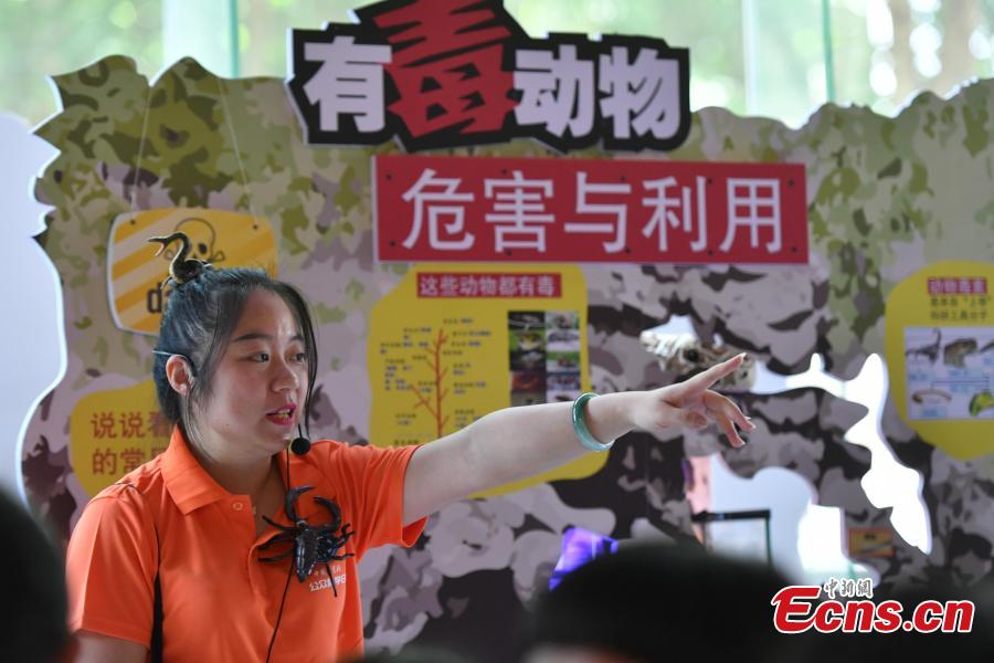 A staff member wearing a spider-like ornament talks about poisonous wildlife at the Kunming Zoology Museum in Kunming City, Southwest China’s Yunnan Province, May 18, 2018. Experts from the Chinese Academy of Sciences Kunming Animal Institute organized the event to raise awareness about poisonous wildlife. (Photo: China News Service/Ren Dong)