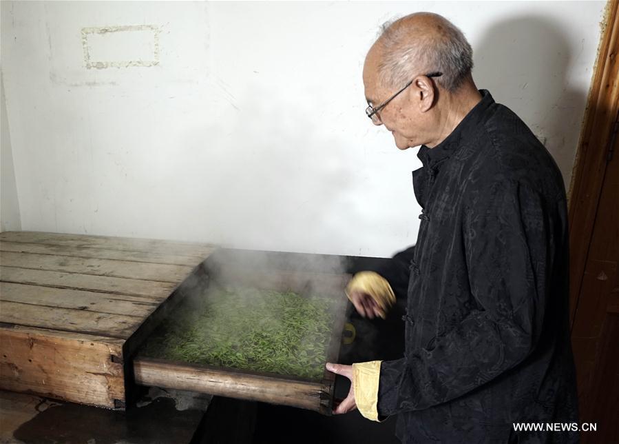 Yang Shengwei, successor of Enshi Yulu Tea or Jade Dew Tea, processes tea leaves in Enshi, central China\'s Hubei Province, May 18, 2018. The Jade Dew Tea, originating from the Tang Dynasty and popular during the Qing Dynasty, is one of the very few types of steamed green teas in China. The processing skill of the tea has been listed as a national level intangible cultural heritage in 2014. (Xinhua/Wen Lin)