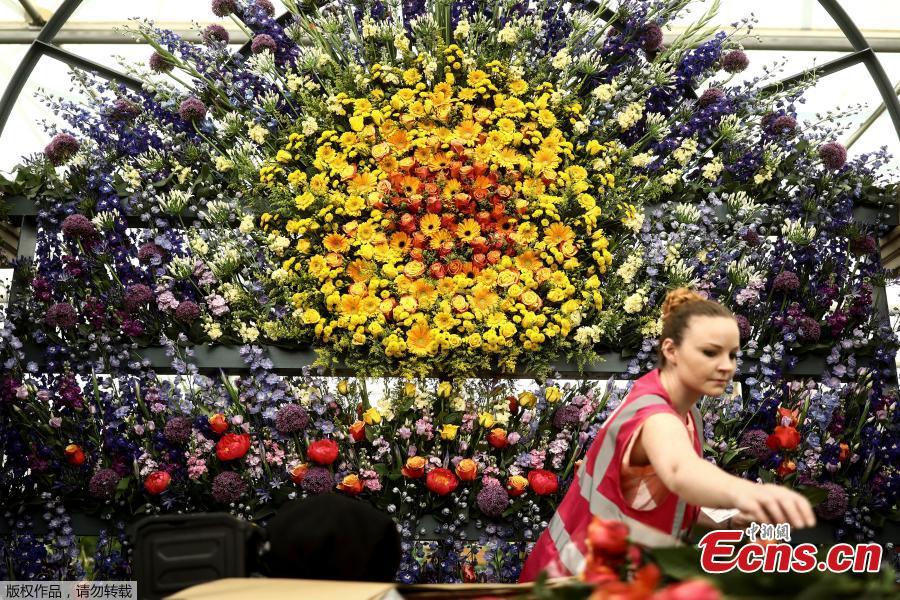 Flowers are prepared for the Chelsea in Bloom floral art show on May 22, 2018 in London, England. This year is the 13th Chelsea in Bloom and the theme is \'Summer of Love\'. The annual competition has grown dramatically each year with Chelsea’s best retailers, restaurants and hotels adorning themselves with creative designs to compete for the coveted awards. (Photo/Agencies)