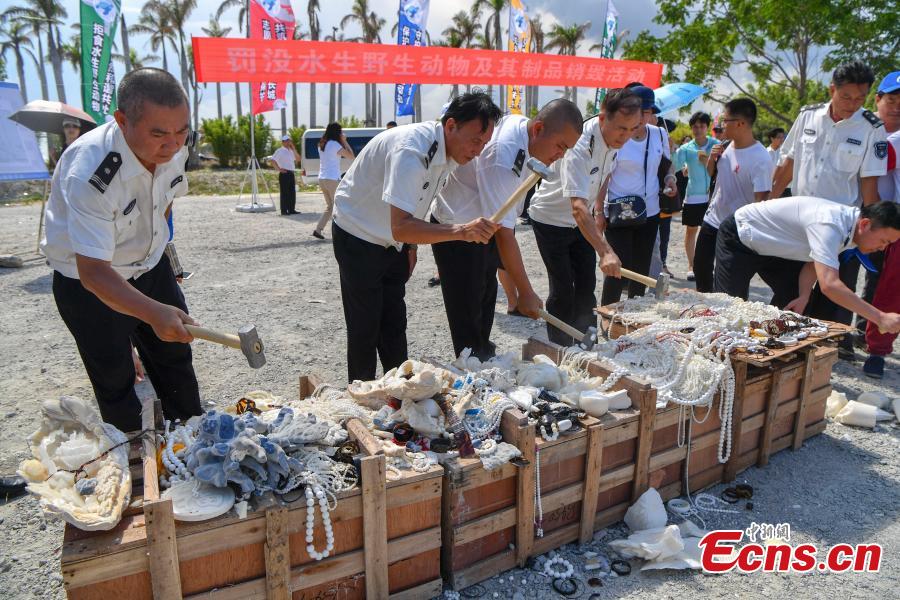 Aquatic wildlife and their products, seized in efforts to curb illegal trading in four provinces, are destroyed collectively in Sanya City, South China’s Hainan Province, May 23, 2018. Authorities destroyed more than 6,000 aquatic wildlife products that weighed about 40 tons and were valued at nearly 100 million yuan ($15 million). (Photo: China News Service/Luo Yunfei)