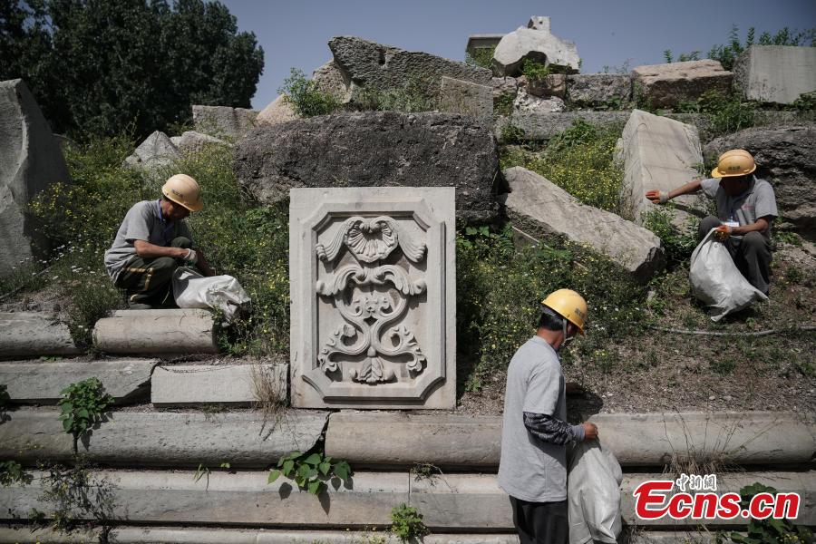 Photo taken on May 23, 2018 shows workers pulling up weeds as authorities of the Old Summer Palace (Yuanmingyuan) start a preservation project on the Yuanyingguan and Dashuifa ruins. The work will continue for 120 days to protect these two sites from collapse. Constructed throughout the 18th and early 19th centuries, the Old Summer Palace was a complex of royal palaces and gardens. The complex suffered extensive looting and destruction at the hands of French and British troops during the Second Opium War in 1860. (Photo: China News Service/Cui Nan)