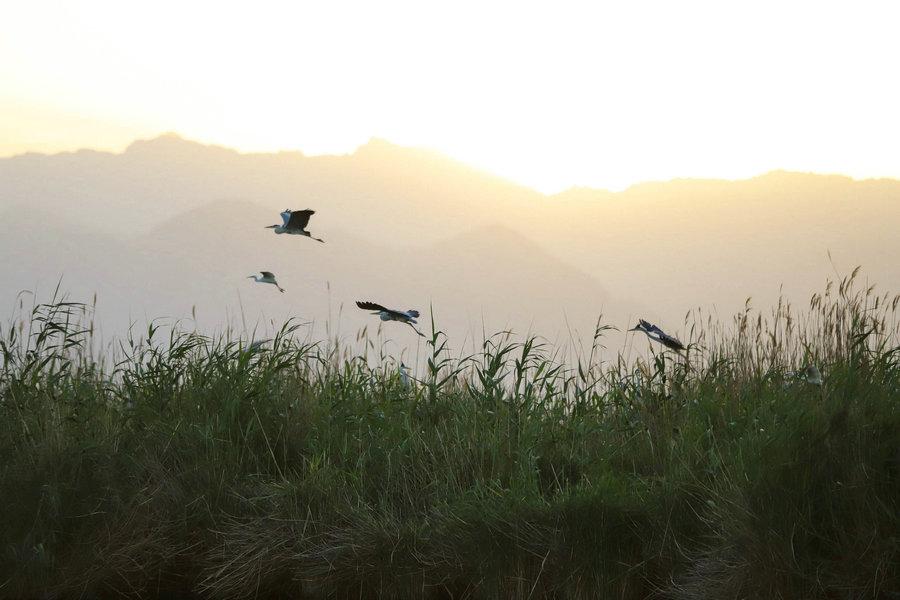 Shahu Lake in Ningxia Hui autonomous region, May 22, 2018. (Photo provided to chinadaily.com.cn)