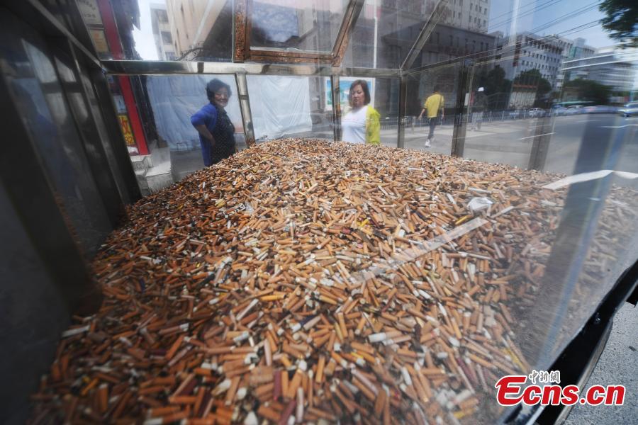 Cigarette butts collected by sanitary workers in downtown Lanzhou City, Gansu Province are being displayed in an activity to raise public awareness of environmental protection, May 24, 2018. (Photo: China News Service/Yang Yanmin)