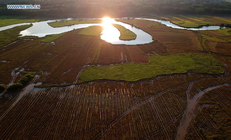 Aerial photo taken on May 30, 2018 shows the Quxi wetland in Haikou City, south China\'s Hainan Province. Efforts made by Haikou City to restore ecosystem have improved the water quality of wetlands, which are expected to play a better role in flood prevention, climate regulation and preservation of the local biodiversity. (Xinhua/Zhao Yingquan)