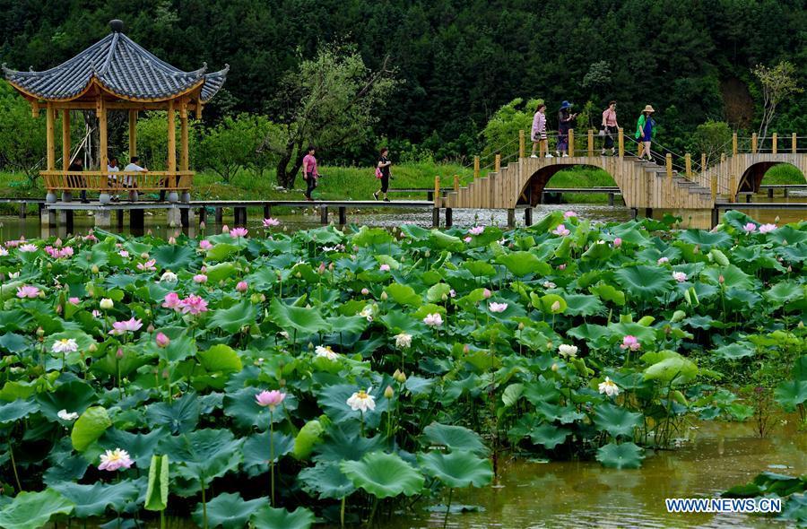 Tourists visit a lotus pond in Wufu Township of Wuyishan City, southeast China\'s Fujian Province, June 1, 2018. The town developed local economy by combining farming and tourism. (Xinhua/Zhang Guojun)