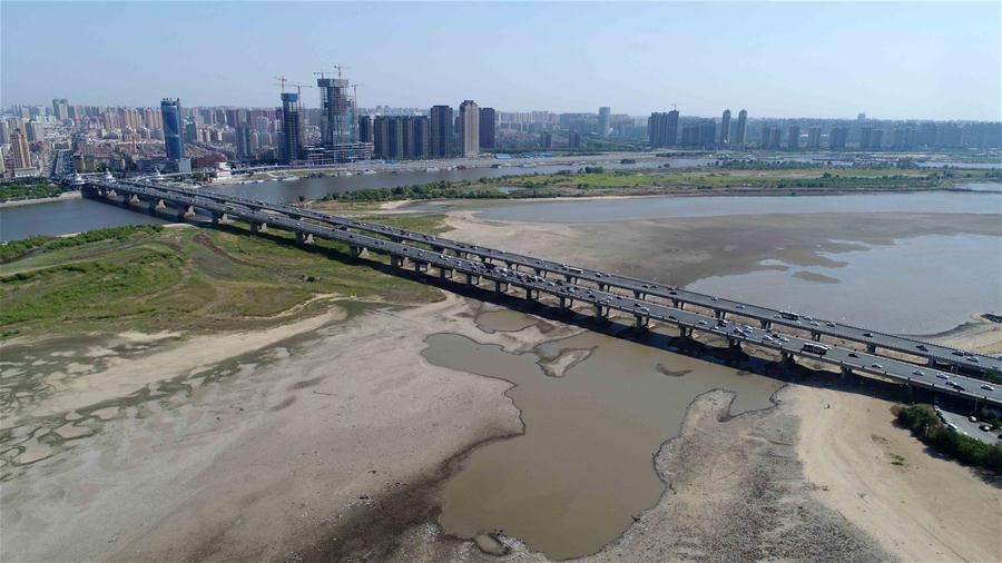 Aerial photo taken on June 2, 2018 shows the exposed riverbed of Songhua River in Harbin, northeast China\'s Heilongjiang Province. The water level of Harbin section of Songhua River reduced to 113.55 meters, the lowest for some 11 years, on May 29. (Xinhua/Wang Kai)