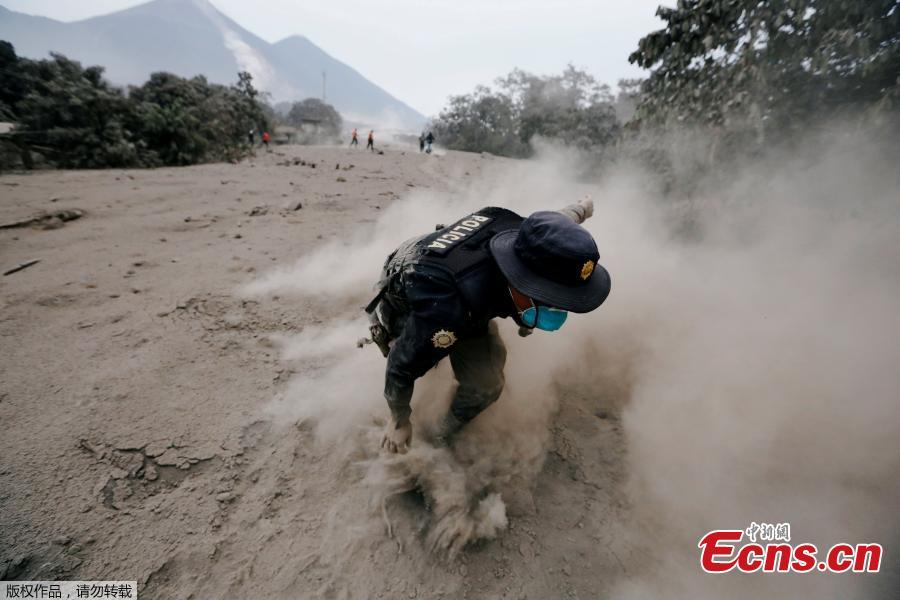A police officer stumbles while running away from a new pyroclastic flow spewed by the Fuego volcano in the community of San Miguel Los Lotes in Escuintla, Guatemala, June 4, 2018. An estimated 25 people, including at least three children, were killed and nearly 300 injured on Sunday in the most violent eruption of Guatemala’s Fuego volcano in more than four decades, officials said. (Photo/Agencies)