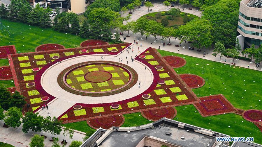 Photo taken on June 4, 2018 shows flowers at Wusi Square in Qingdao, east China\'s Shandong Province. The 18th Shanghai Cooperation Organization (SCO) Summit is scheduled for June 9 to 10 in Qingdao. (Xinhua/Guo Xulei)