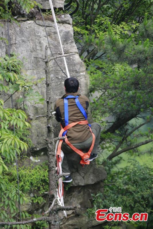 Sanitary worker Liu Wenhua collects garbage on a cliff while hanging from a cable at Wulingyuan scenic area in Zhangjiajie City, Central China’s Hunan Province, June 5, 2018. Liu, 48, has worked at the tourist attraction for nearly five years, mainly responsible for cleaning litter left by irresponsible visitors. (Photo: China News Service/Wu Yongbing)