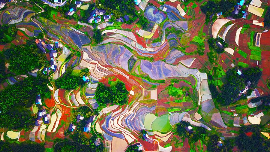 The aerial photo series of the countryside in SW China\'s Chongqing Liangping district wins the first prize at the 2018 National Yangtze River Photo Competition held by the Office of the Central Cyberspace Affairs Commission, the Ministry of Ecology and Environment and 11 local cyberspace affairs commissions in the Yangtze River Economic Belt. The photos were shot in April at Tiemen village, Tiemen county. The photo competition attracted 1,395 participants from all walks of life and their works reflected the natural beauty and people\'s life along the river. (Photo/China Daily)