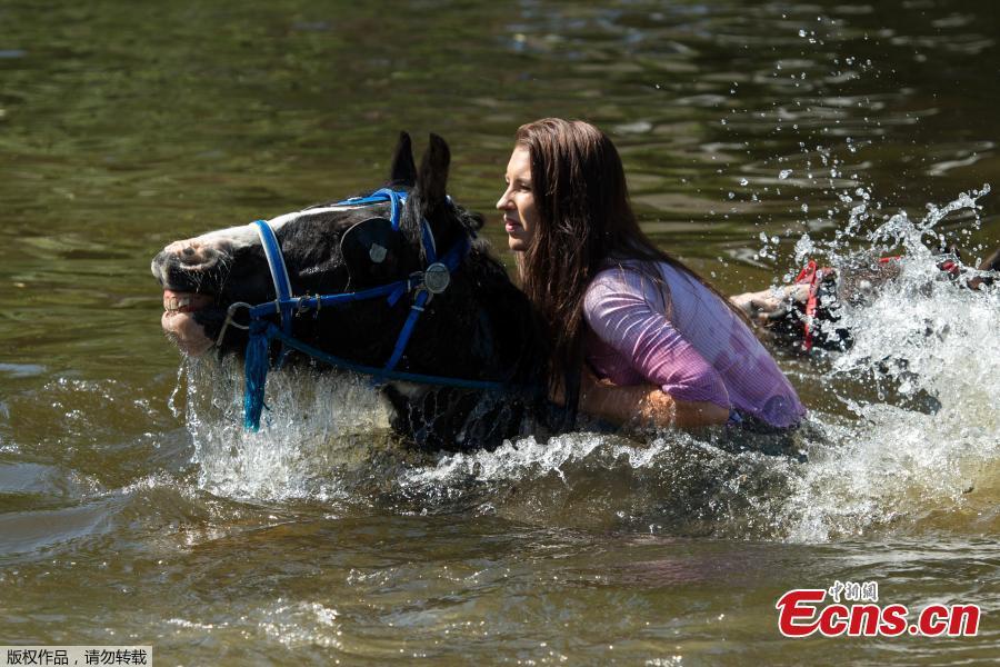 Pictures taken on June 7, 2018 show travelers washing and cooling off their horses in the Eden River as Appleby Horse Fair 2018 gets underway. Around 40,000 travelers from across the world descend on the area for the seven day festival, a tradition that dates back to the 17th century.(Photo/Agencies)