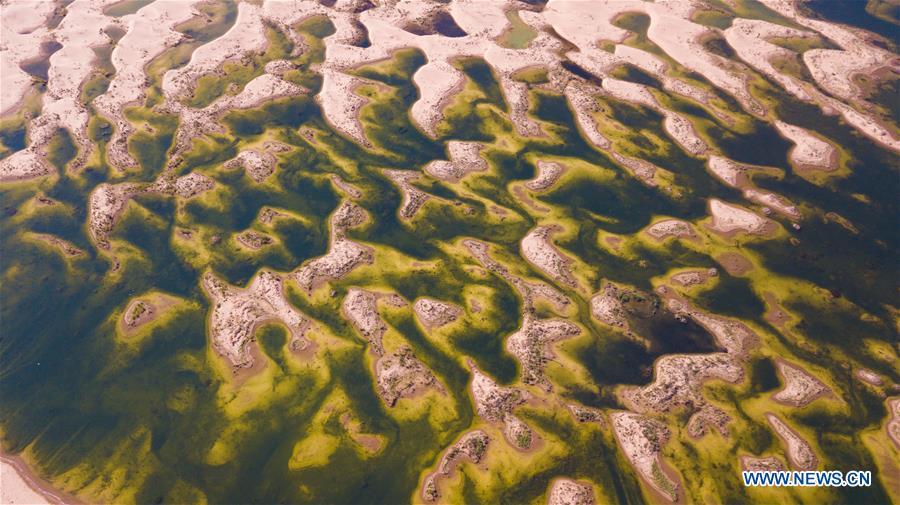 Aerial photo taken on June 9, 2018 shows a wetland in the Kubuqi Desert of Ordos City, north China\'s Inner Mongolia Autonomous Region. The wetland is formed by water of the Yellow River in flood period. (Xinhua/Peng Yuan)