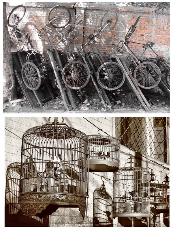 Bicycle carts and bamboo bird cages Qianmen Dashilar 2015. (Photo by Bruce Connolly/chinadaily.com.cn)

In the 1990s, while traveling through Beijing toward southwest China I would always spend a few days increasing my knowledge of the city’s many hidden gems. Regularly the names “Qianmen-Dashilar” appeared in my diary notes from those days — an area I discovered to be bustling with street life while retaining much of the capital\'s local cultural attributes.

While staying at Beixinqiao I would meander through hutong alleys leading to Yonghegong metro station. Twenty minutes later at Qianmen, a cafe overlooking the massive Zhengyangmen Gate complex, I ate breakfast, sat at the window and dreamed — dreams of Beijing, the area I was in and its many facets and episodes within the city’s long story. It was hard to imagine a canal once flowed through where I sat, but the local name West Heyan Street, or West Riverbank Street, remains as testimony.

The arched passageway through Zhengyangmen and Jianlou (Arrow Tower) is on the city’s historic axis line. It continues south along pedestrianized Qianmen Dajie, which until 1965 was known as Zhengyangmen Street. Qianmen refers to the “Front Gate” of the Ming Dynasty walls separating the imperial grandeur of the north from the vibrant, at times chaotic scenes of urban life in the south. Through the mid-2000s it remained a busy route, regularly clogged by diesel-powered buses from a now long-removed bus depot. But now, the gardens around Jianlou have since turned the area green.