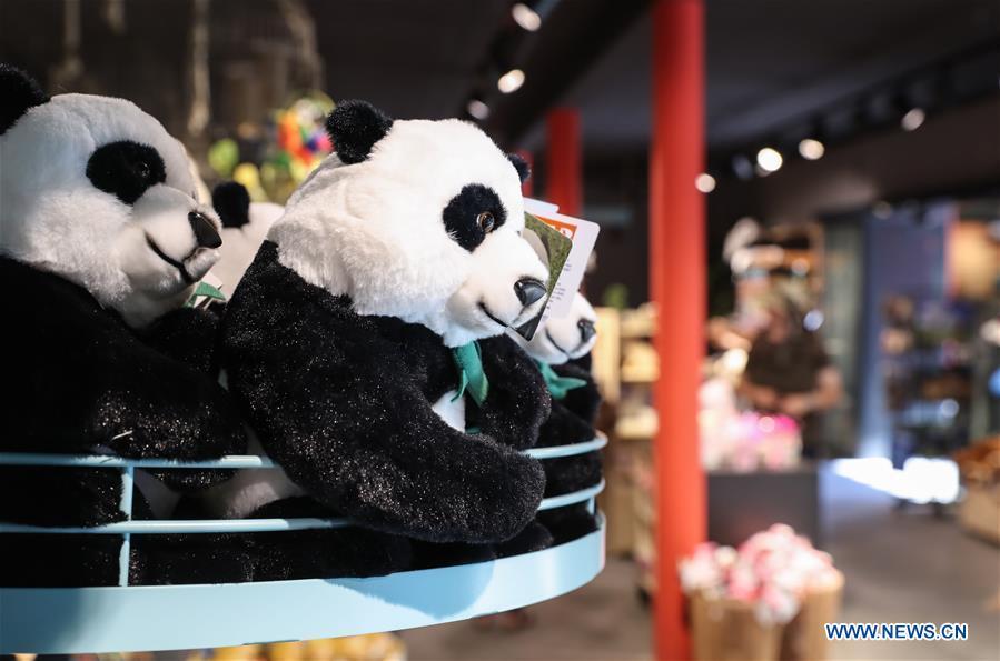 Panda souvenirs are seen at Berlin Zoo in Berlin, Germany, June 9, 2018. Mengmeng and Jiaoqing, the two pandas from China, arrived in Berlin on June 24, 2017. They became superstar during their first-year\'s stay here in Berlin Zoo. (Xinhua/Shan Yuqi)