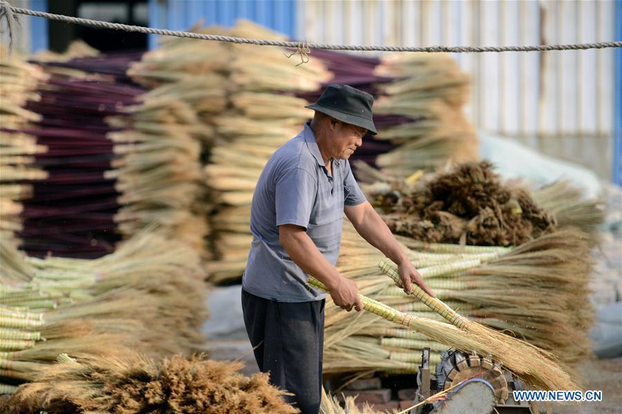 <?php echo strip_tags(addslashes(A man makes a broom at a broom professional cooperative in Maozhuang Town of Laoting County, north China's Hebei Province, June 19, 2018. Maozhuang Town has a long history in handmade brooms. In recent years, the town has set up several professional cooperatives on broom to manage this specialty industry intensively. At present, brooms produced in the town have been sold to many foreign markets such as South Korea and Japan, with annual export earnings reaching over 20 million yuan (3.09 mln U.S. dollars). (Xinhua/Mu Yu))) ?>