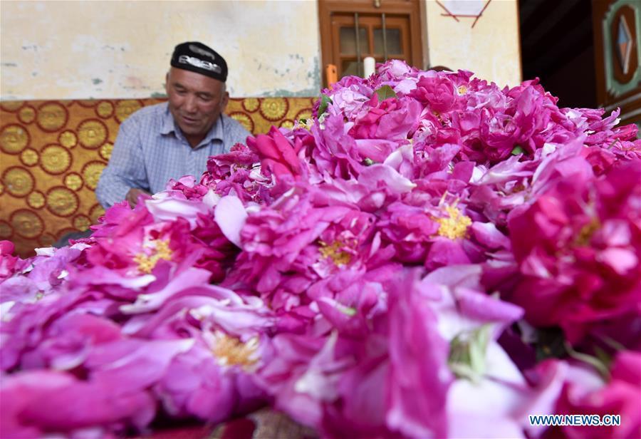 Flower grower Ruz makes rose sauce at a village in Hotan, northwest China\'s Xinjiang Uygur Autonomous Region, June 6, 2018. People in the village are good at making rose sauce, and that is an important source of income for them. (Xinhua/Zhao Ge)