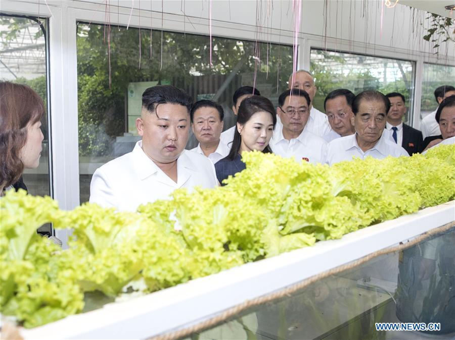 Kim Jong Un, chairman of the Workers\' Party of Korea (WPK) and chairman of the State Affairs Commission of the Democratic People\'s Republic of Korea (DPRK), visits a national agricultural technology innovation park under the Chinese Academy of Agricultural Sciences in Beijing, capital of China, June 20, 2018. Xi Jinping, general secretary of the Central Committee of the Communist Party of China (CPC) and Chinese president, met with Kim Jong Un at the Diaoyutai State Guesthouse in Beijing on Wednesday. (Xinhua/Wang Ye)