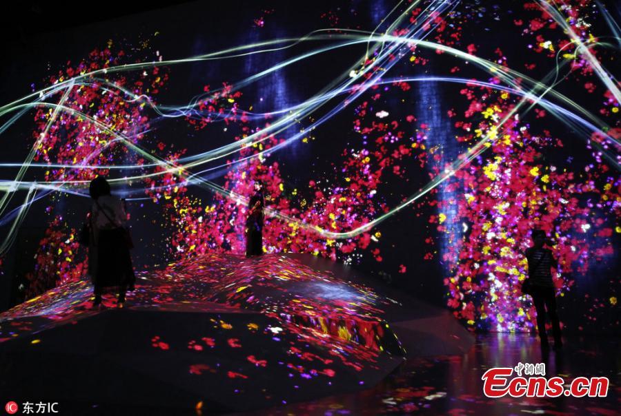 “MORI Building DIGITAL ART MUSEUM: teamLab Borderless,” an digital art museum — jointly created and operated by Mori Building Co., Ltd and teamLab, opened on June 21,2018 in Tokyo, Japan. The digital art museum features approximately 50 interactive artworks, some completely new, in a 10,000 square meters area with five zones. The interactive artworks have no borders separating them from the other works. Some extend beyond their installation rooms and into the corridors, some overlap with other works and some even fuse with other works. (Photo/IC)
