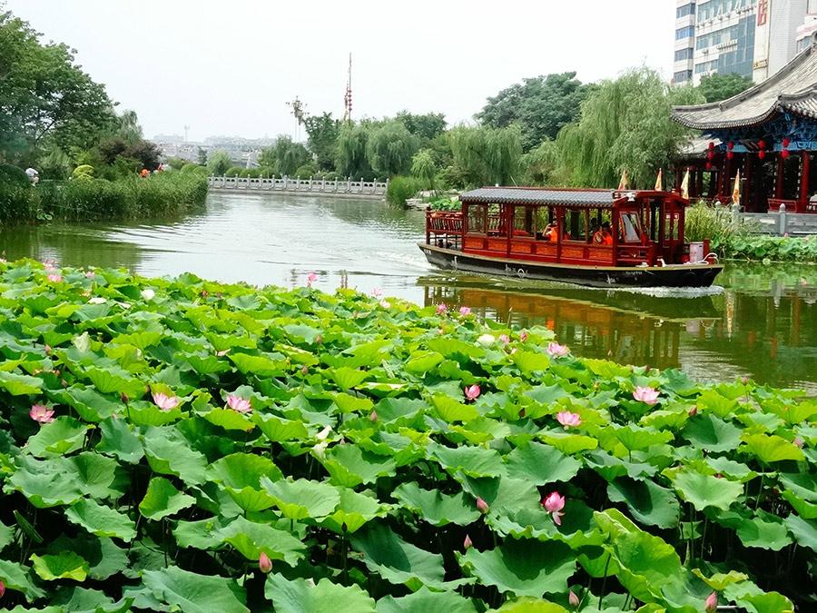 Lotus flowers in full bloom at the Yu river scenic area in Kaifeng city, Henan Province on June 25. Summer is the prime season for lotus. The pink blossoms appear to be floating on the water, while the roots are hidden deep underneath. (Photo/Asianewsphoto)